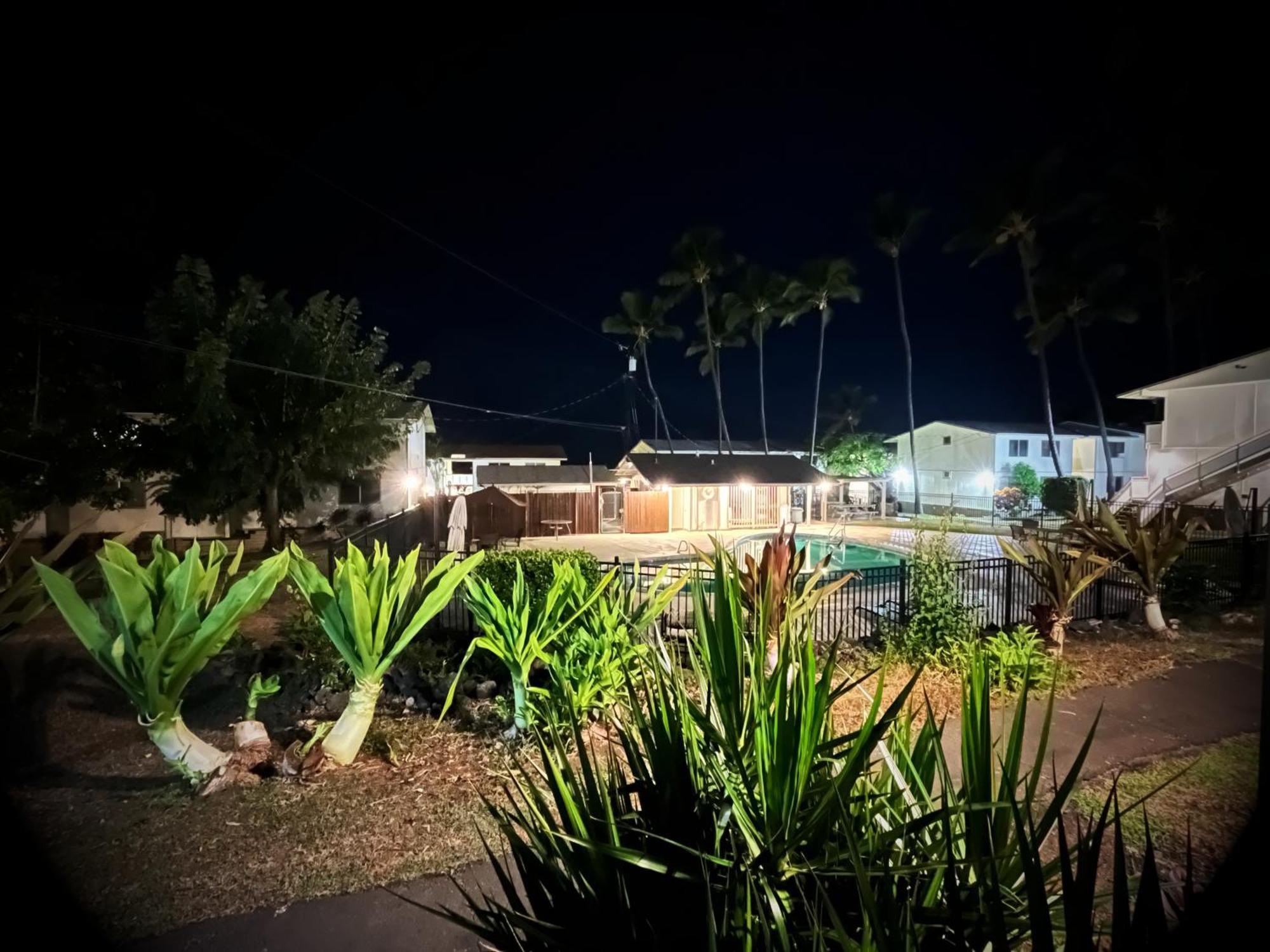 Your Slice Of Paradise In Kona - Walk To Beach And Stores Kailua-Kona Exterior photo